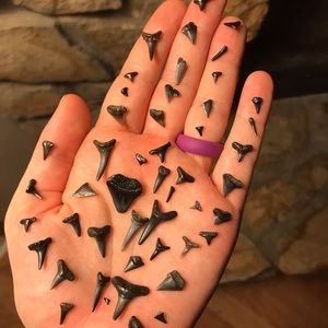 Meet your Posher, Kacey